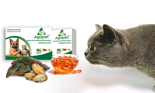 A new choice for pet health, Agapet® makes a stunning debut!