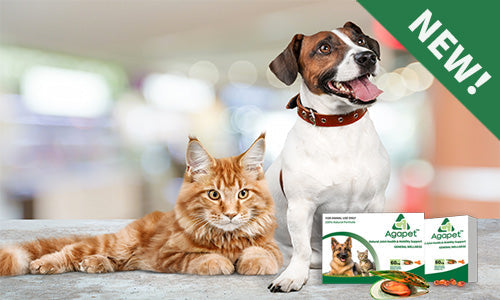 Three Differentiated Advantages of New Zealand Agapet®